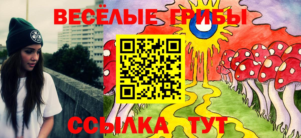 Галлюциногенные грибы Psilocybe  Вход с VPN  продажа наркотиков  Белореченск  Галлюциногенные грибы Cubensis 