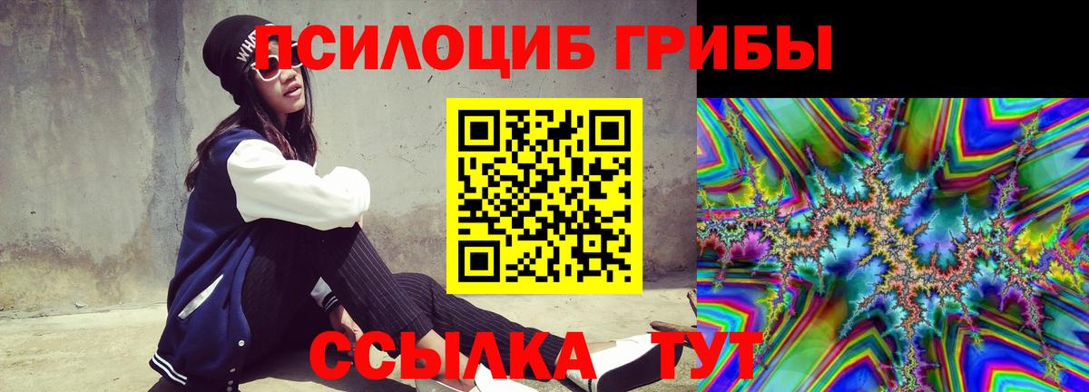 Галлюциногенные грибы Psilocybe Белореченск